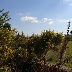 De La Piaferie Aigremont