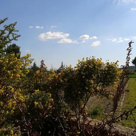 De La Piaferie Aigremont